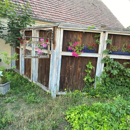 Ostsee Radlerpension Peitz Exterior photo